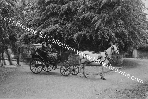 MRS FRANK LILLIS WITH MARY IN PHAETON